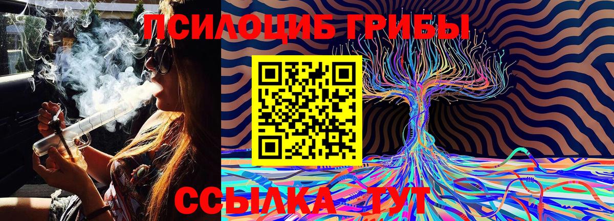 Галлюциногенные грибы Psilocybine cubensis  Вход с VPN  Касимов  магазин    Галлюциногенные грибы MAGIC MUSHROOMS 
